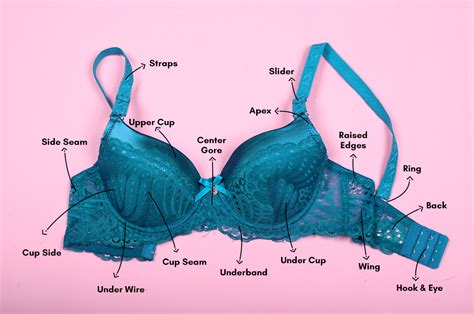 bra parts name|herroom bra anatomy.